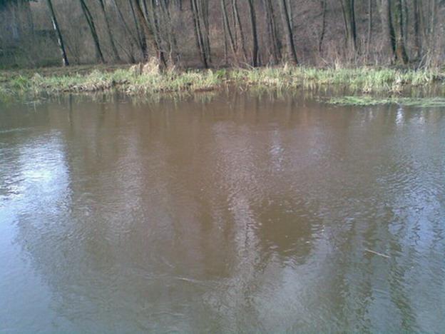 Wyprawa na pstrągi