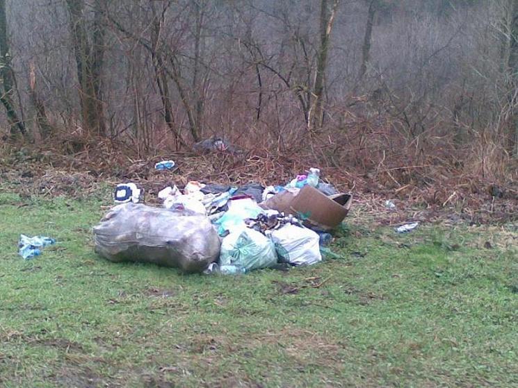 Ochrona środowiska - jak możemy ochronić takie tereny przed dewastacją