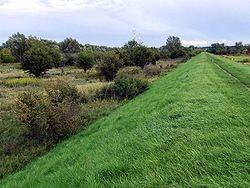 Rzeka - opaska