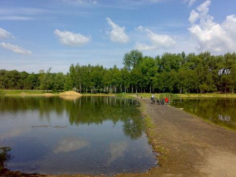 Staw Rzęsa