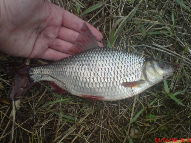 Pierwsza burza wiosenna