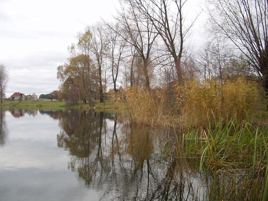 Łuczywno