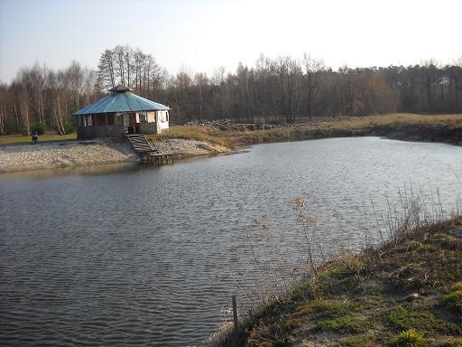 Staw Rozpuda-Borek