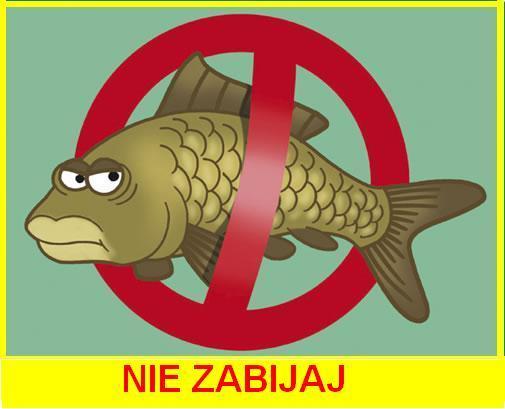 Zmiany regulaminu łowiska Spałek