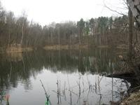 Początki z karpiem II