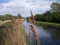 Spining - jezioro