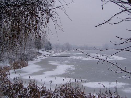 Łowisko Albatros-dwa stawy