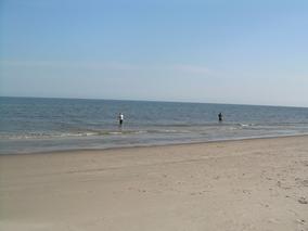 Belony z plaży