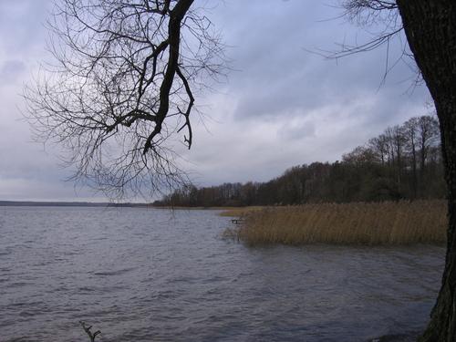 Pierwszy zastrzyk doświadczenia