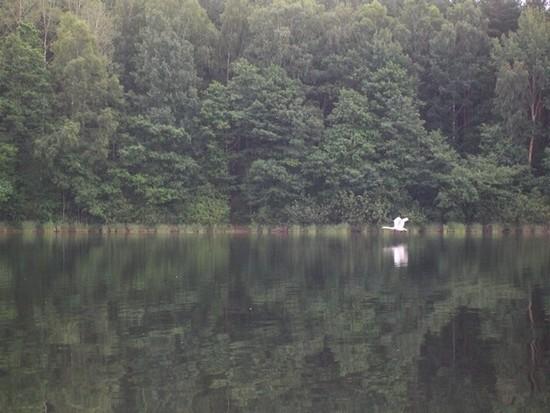 Jezioro Płaczewskie
