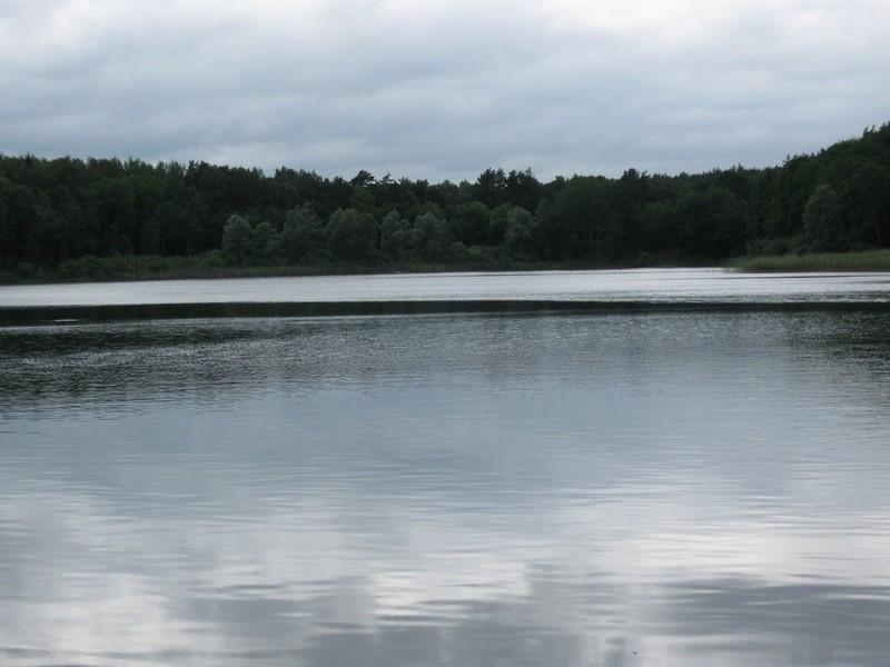 Borówno Małe