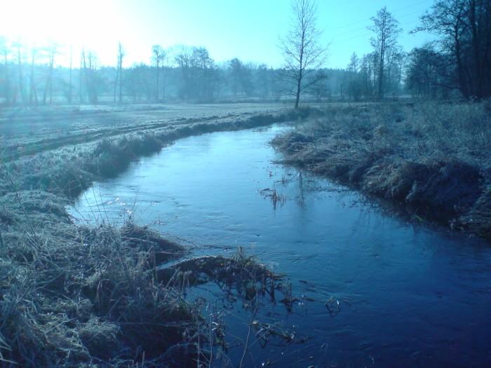 Krztynia - odcinek przyujściowy.