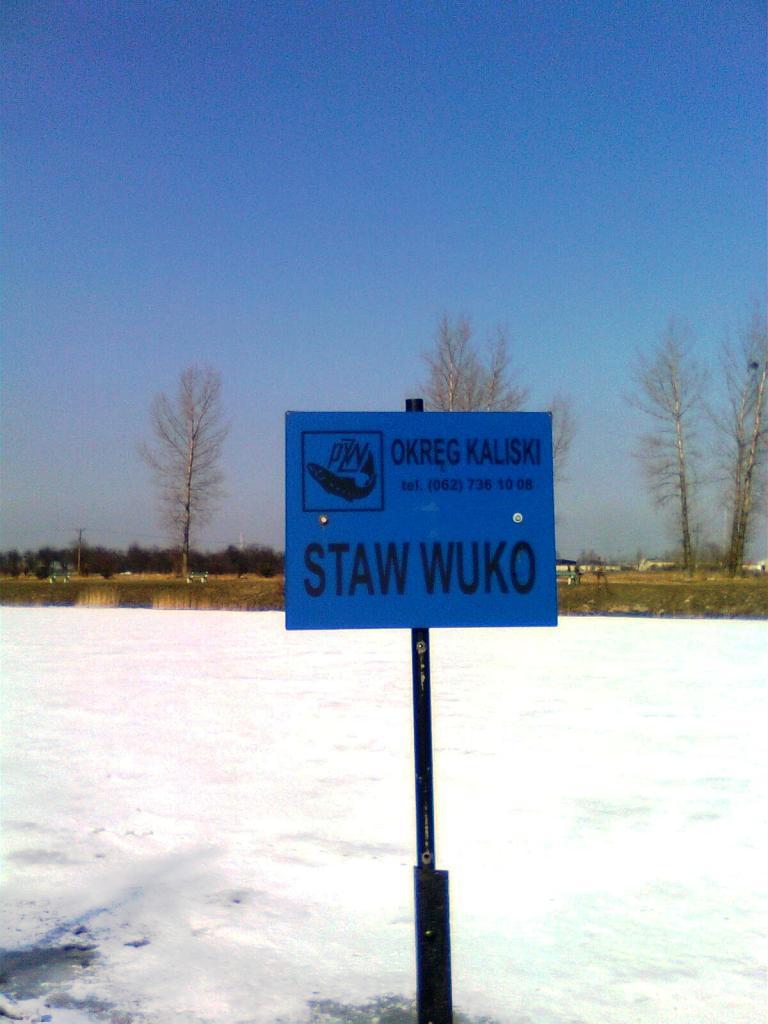 Staw Wuko.