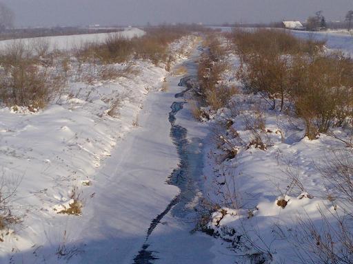 Koprzywianka