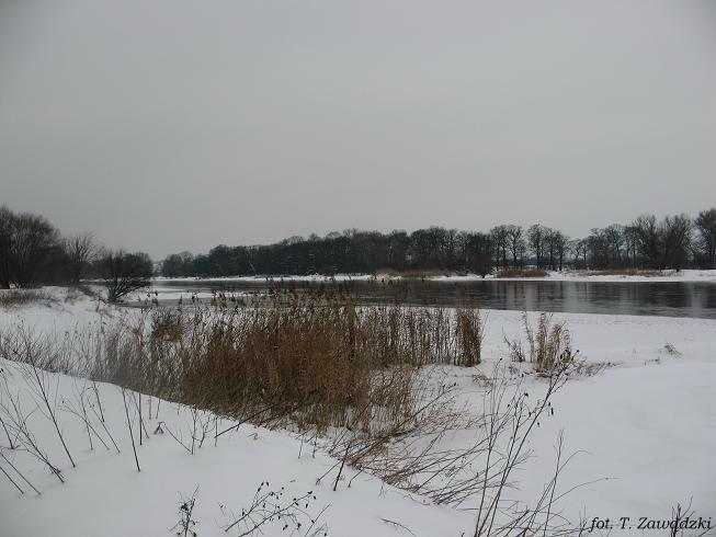 Odra w Biechowie