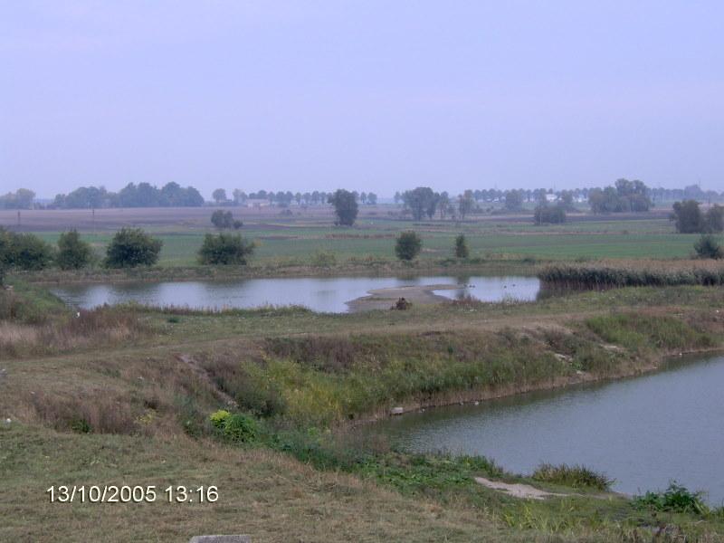 Glinianka Kcynia