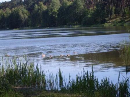 Jezioro Czarne dla wędkarzy