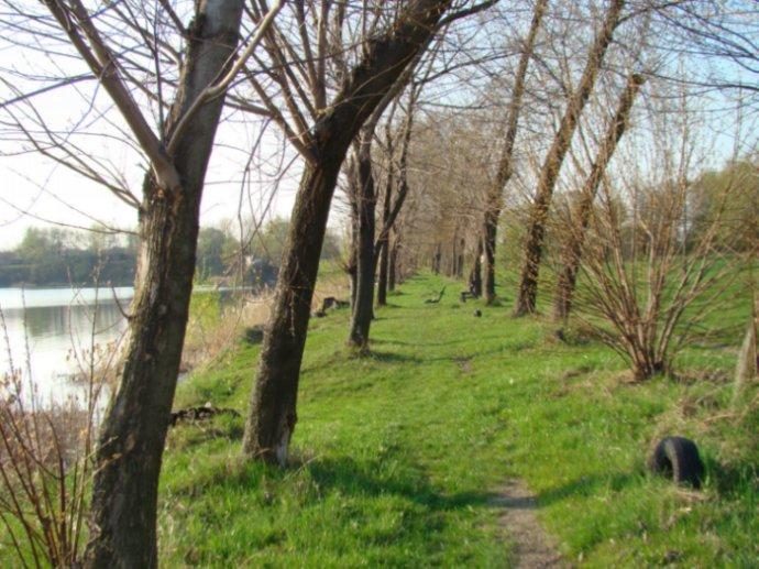 Odkuł się…