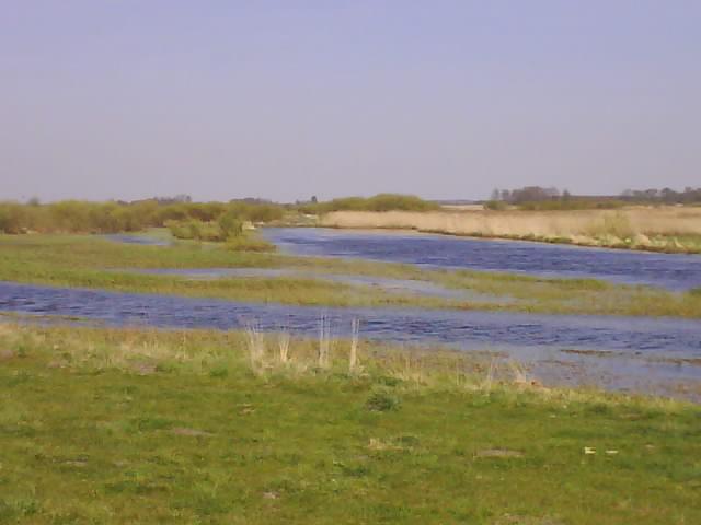 Biebrza - Burzyn.