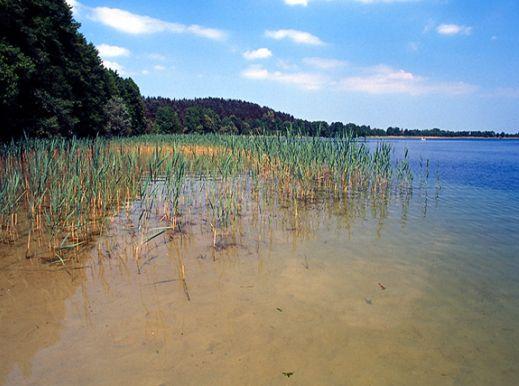 Jezioro Święcajty  ok. Ogonki.
