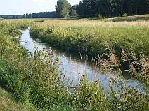 Rzeka Pilica - Przyłęk