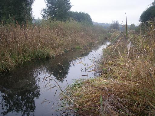 Rzeka Krztynia