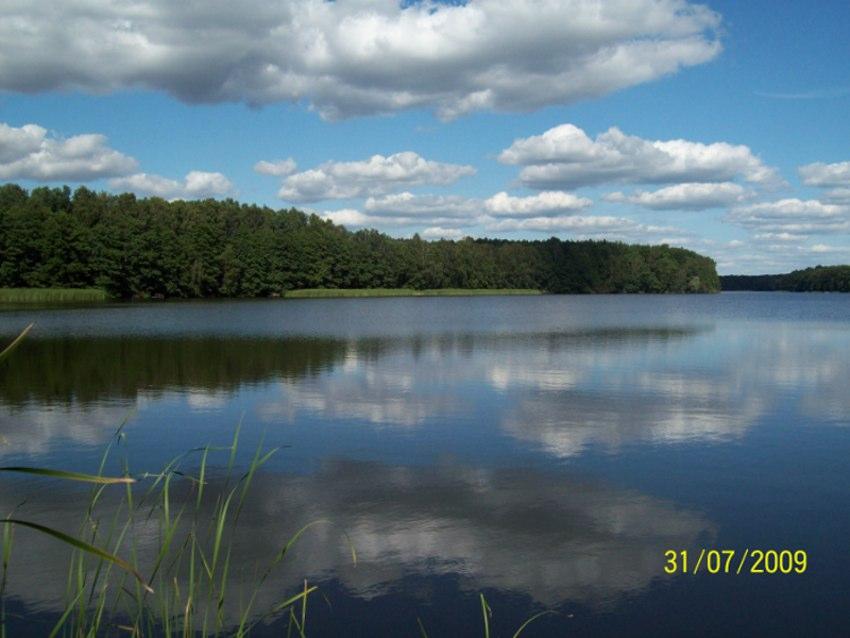 Jezioro Sarcze-Trzcianka