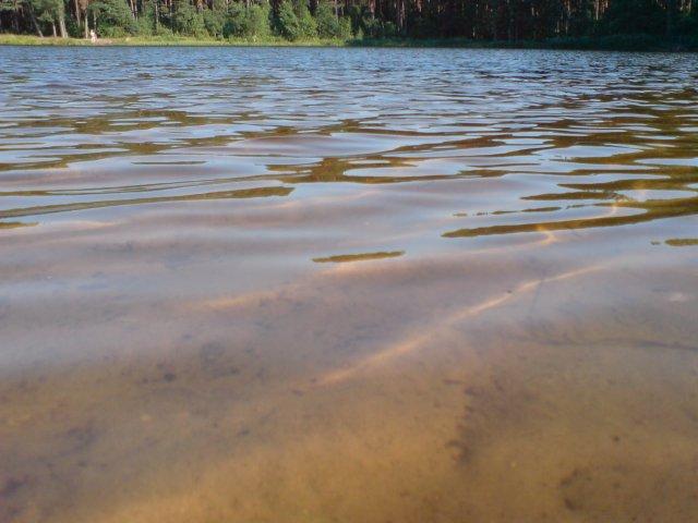 Łowisko Drutarnia.
