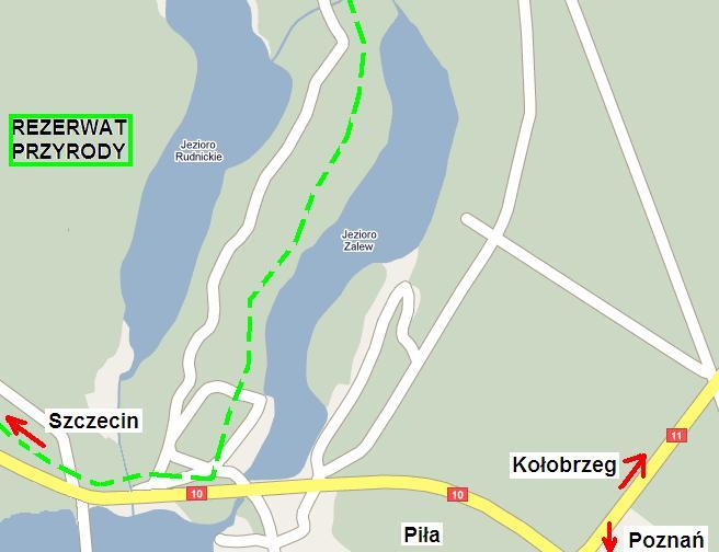 Leszcze z Zalewu