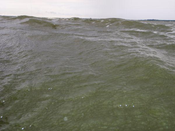 Mistrall Fishing Team Sobieski na GP Polski - Turawa latem jak Bałtyk jesienią