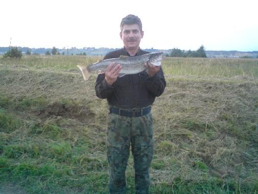 Poszukiwanie troci