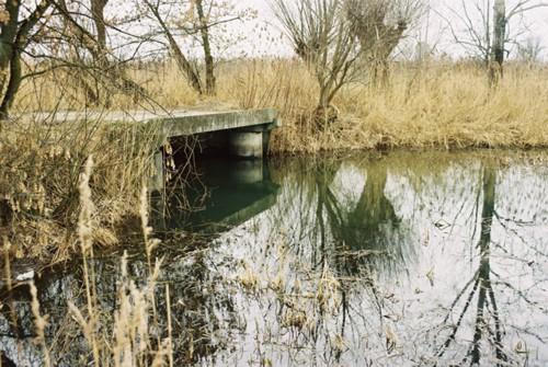 Łacha Piwonin 