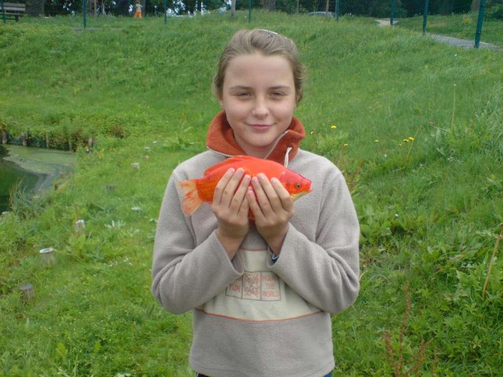 Lato z wędką