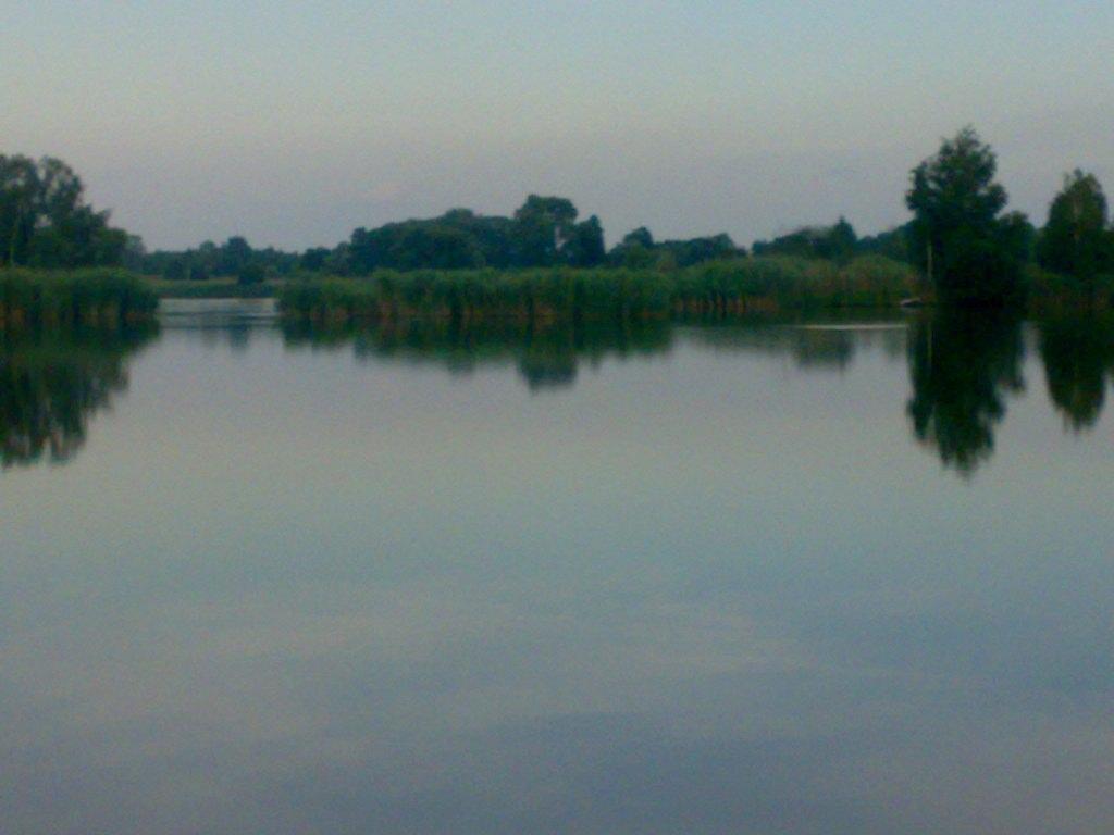 Staw Januszkowice Linowiec.
