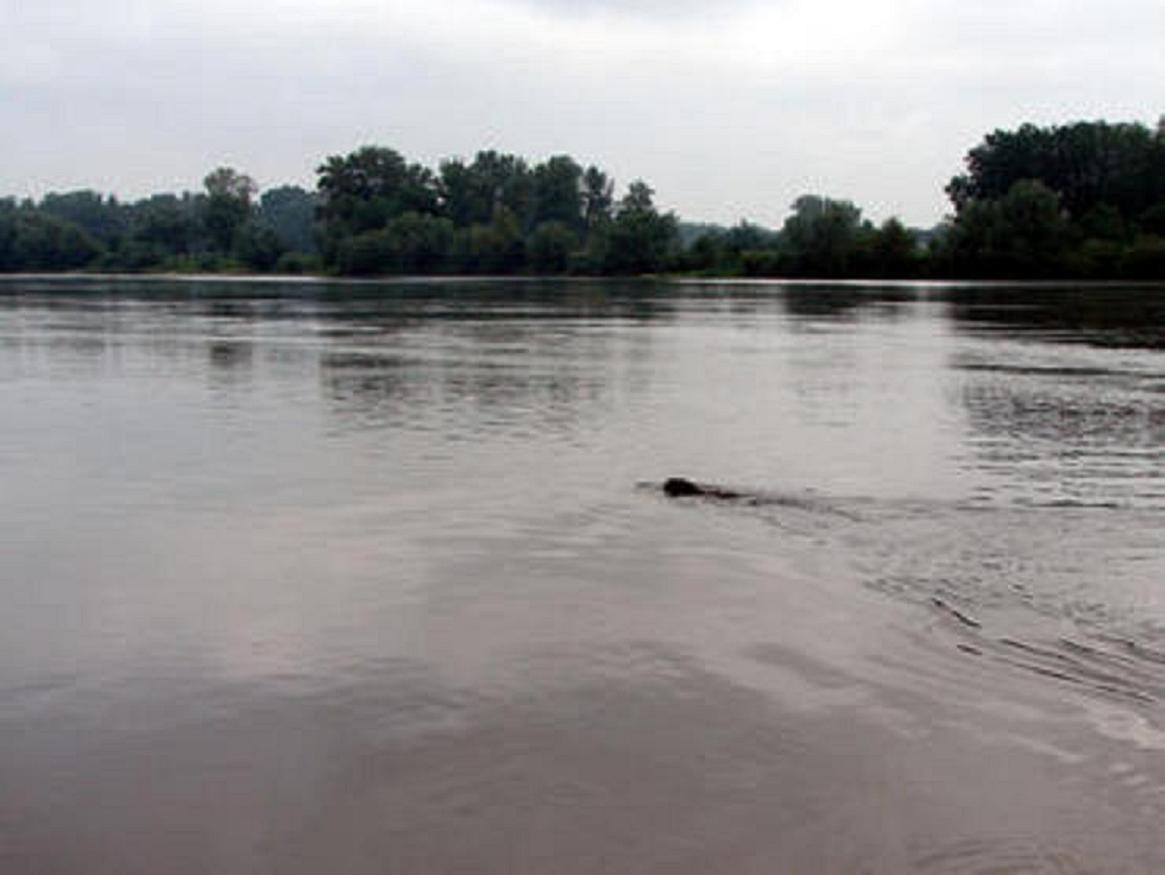 Jezioro Bytyń