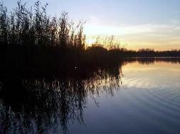 Jezioro Łoniewskie - Osieczna.