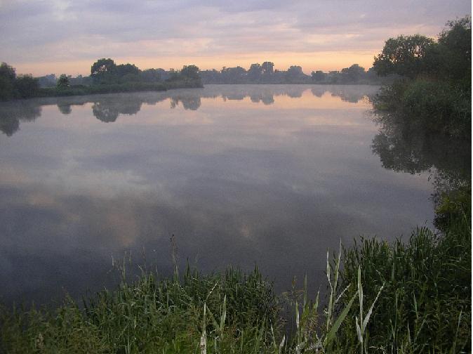 Odra w miejscowosci Dobrzeń Mały