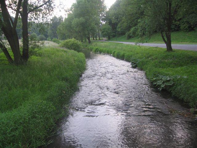 Muchowe Zawody Wędkarskie-Kaczawa 24.05.09.