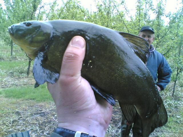 Puchar Prezesa Koła nr 16 - Spławik 2009.