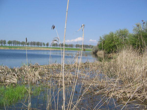 Wędkarskie święto