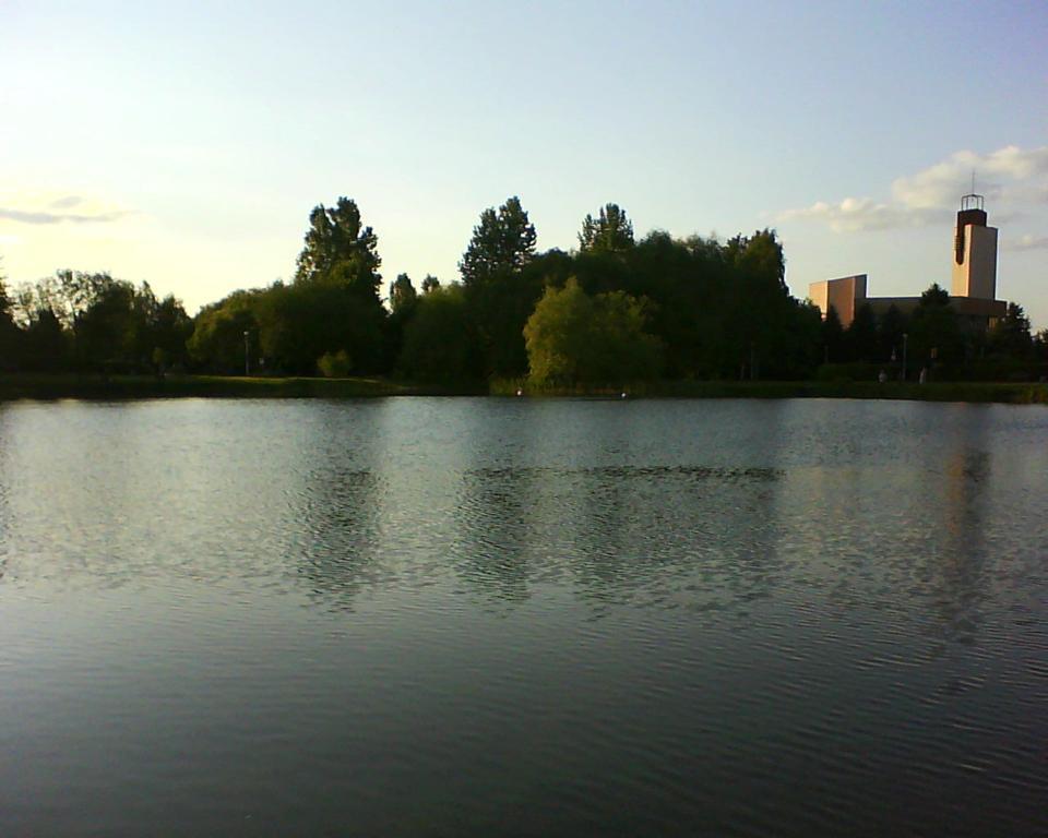 Szczęśliwy ptak