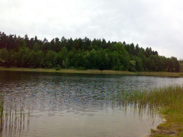Zaśmiecanie środowiska