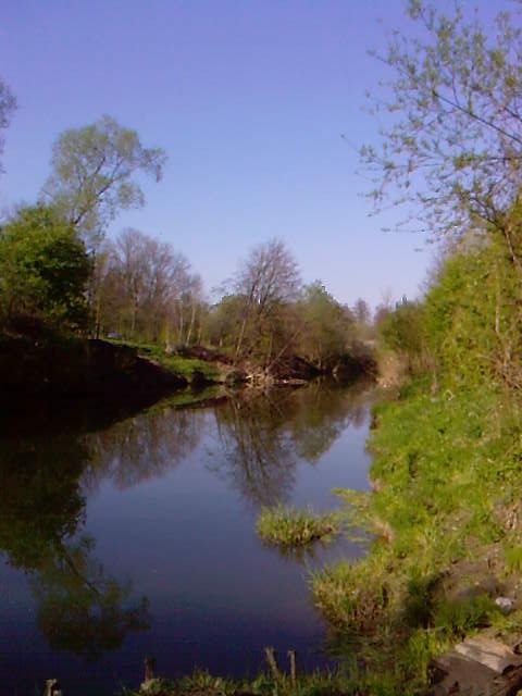 Rzeka Wisłok - Iskrzynia