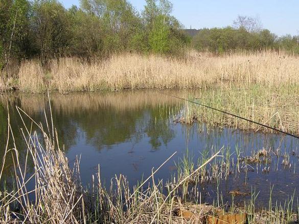 Staw Marakana