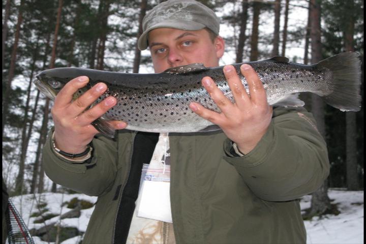 Alvkarleby Szwecja - kwiecień 2009