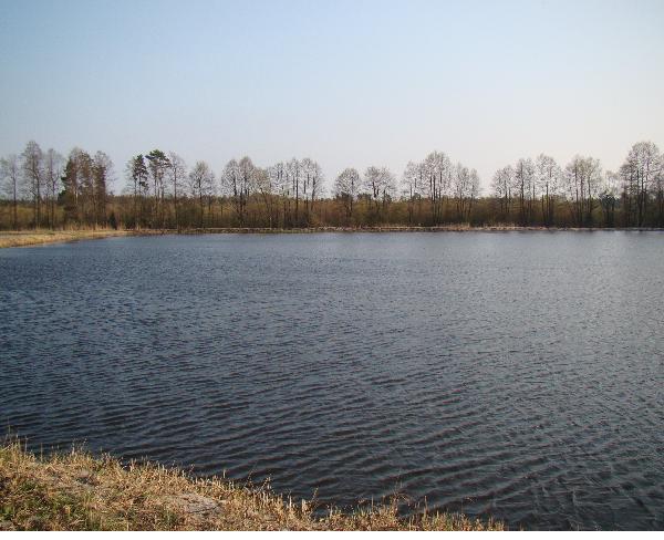 Staw Makowiska 