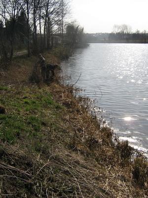 Podziękowania-sprzątanie Nidzicy
