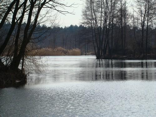 Zbiornik Warchoły, ok. Niska