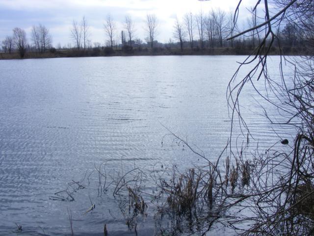 Gliniok
