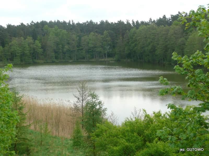 Jezioro Gutowo